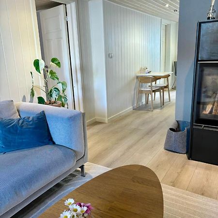 Down Town Apartment With Outside Area In Villa 크리스티안산 외부 사진