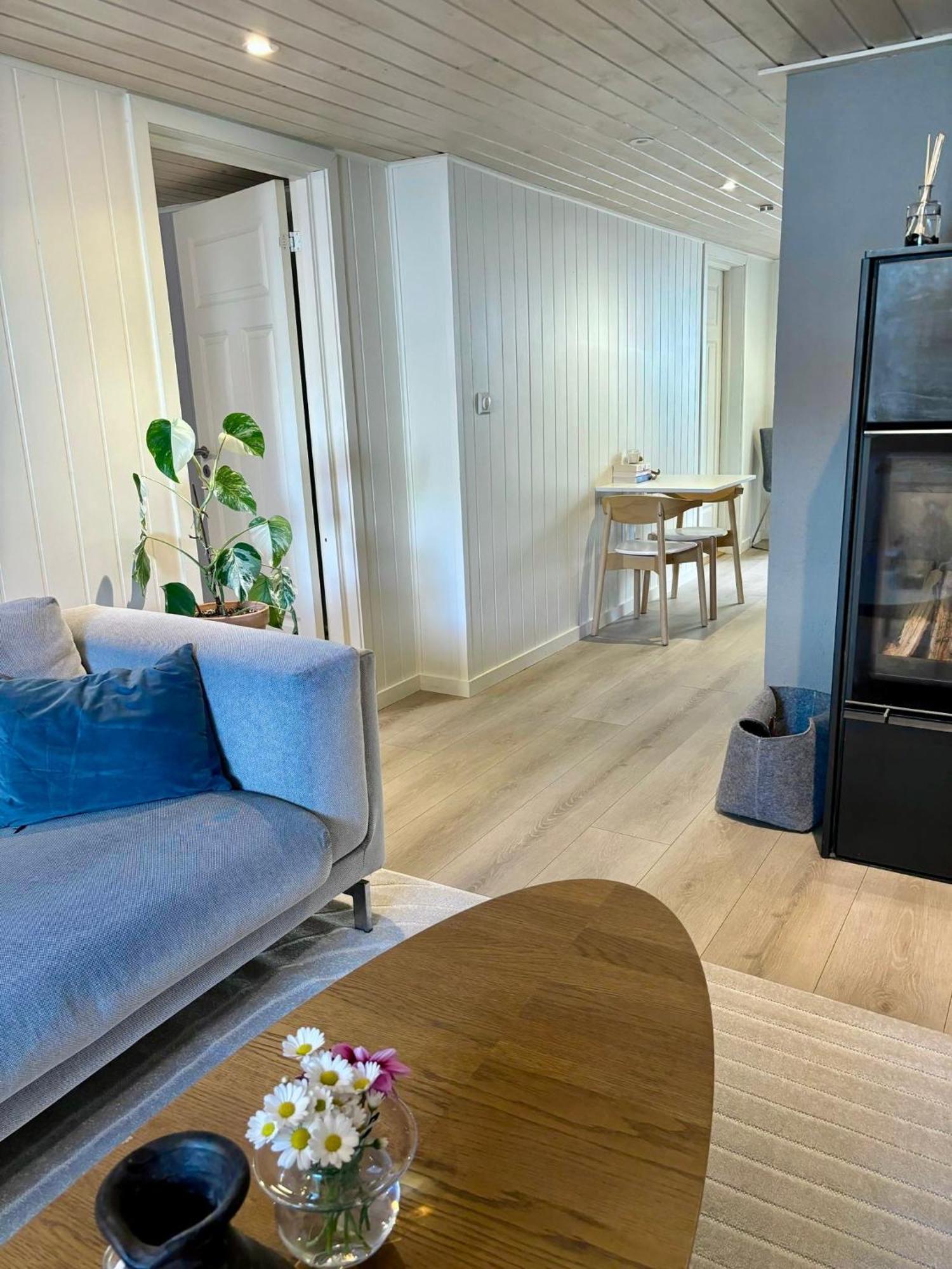 Down Town Apartment With Outside Area In Villa 크리스티안산 외부 사진