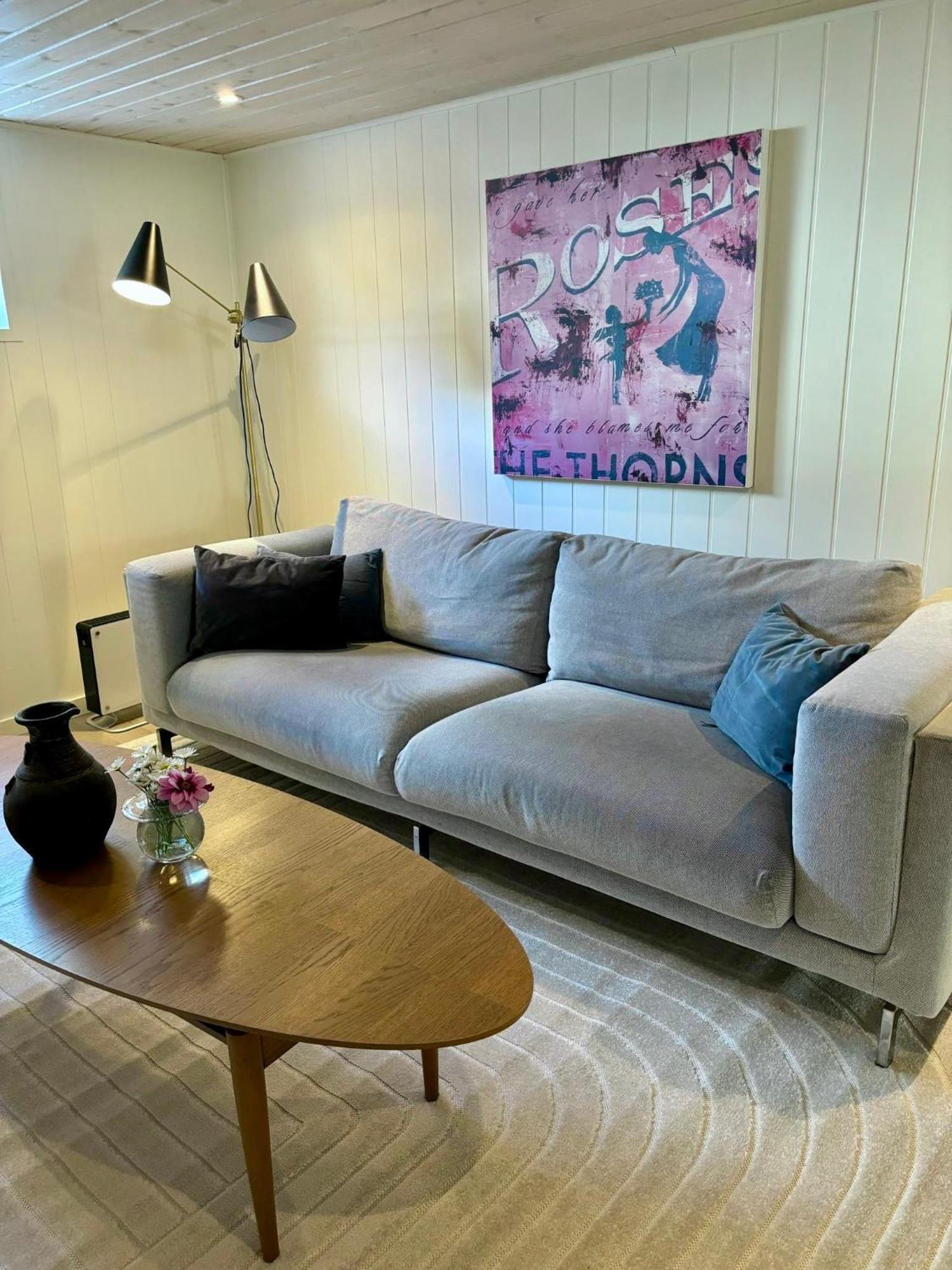 Down Town Apartment With Outside Area In Villa 크리스티안산 외부 사진