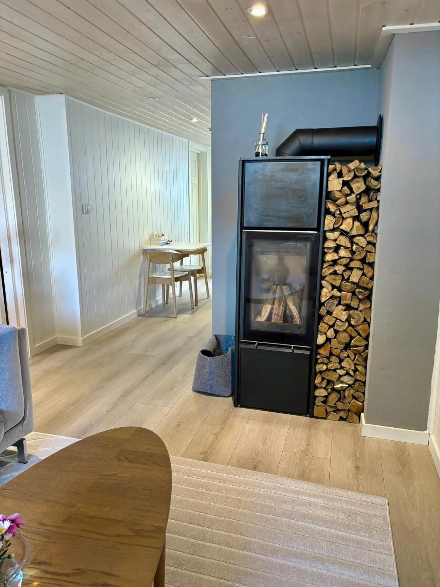 Down Town Apartment With Outside Area In Villa 크리스티안산 외부 사진