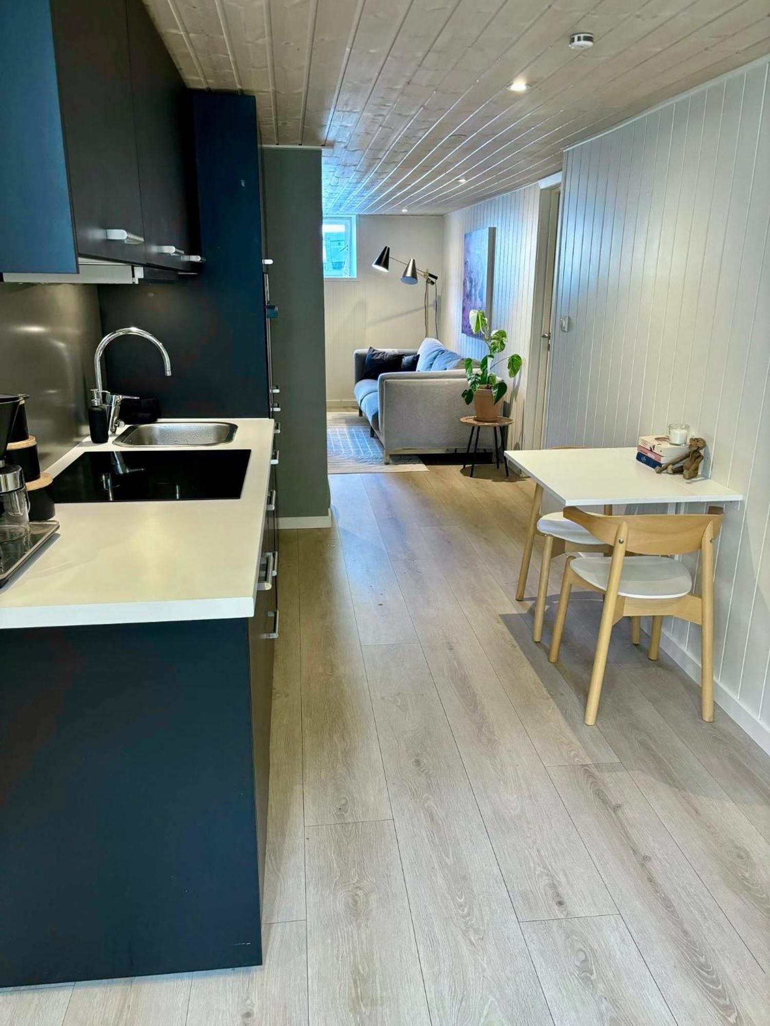 Down Town Apartment With Outside Area In Villa 크리스티안산 외부 사진