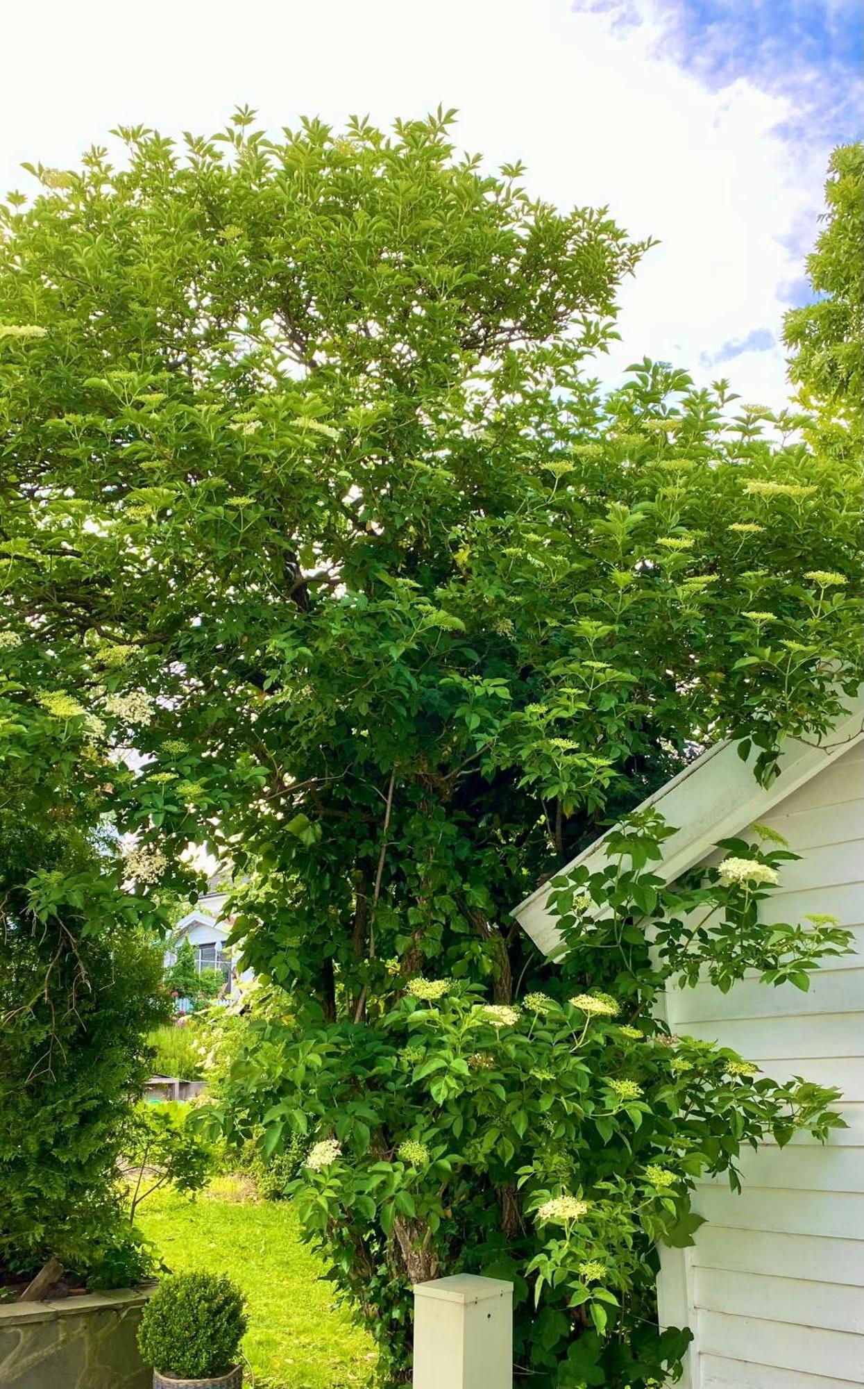 Down Town Apartment With Outside Area In Villa 크리스티안산 외부 사진